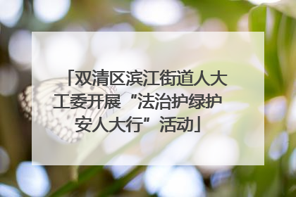 双清区滨江街道人大工委开展“法治护绿护安人大行”活动