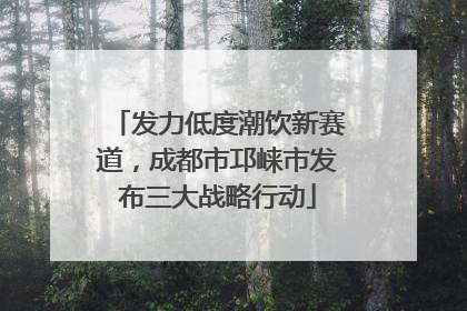发力低度潮饮新赛道，成都市邛崃市发布三大战略行动