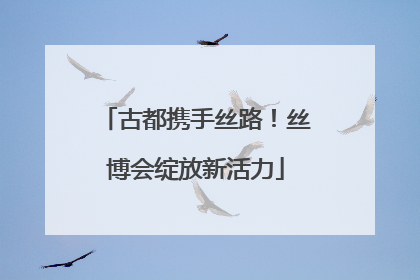古都携手丝路！丝博会绽放新活力