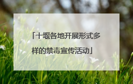十堰各地开展形式多样的禁毒宣传活动