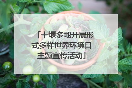 十堰多地开展形式多样世界环境日主题宣传活动