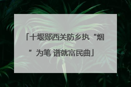 十堰郧西关防乡执“烟”为笔 谱就富民曲