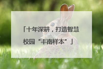 十年深耕，打造智慧校园“丰南样本”