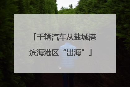 千辆汽车从盐城港滨海港区“出海”