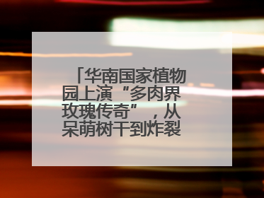 华南国家植物园上演“多肉界玫瑰传奇”，从呆萌树干到炸裂种子全是戏！