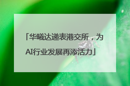 华曦达递表港交所，为AI行业发展再添活力