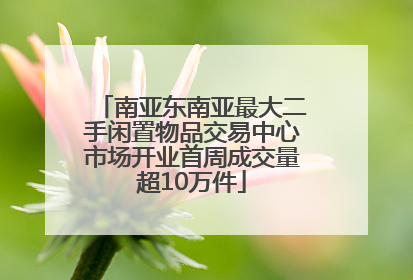 南亚东南亚最大二手闲置物品交易中心市场开业首周成交量超10万件