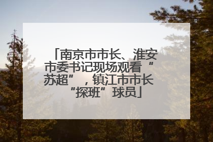 南京市市长、淮安市委书记现场观看“苏超”，镇江市市长“探班”球员