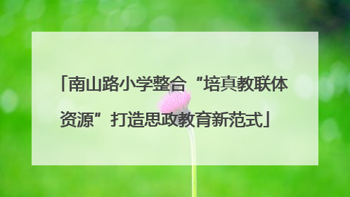 南山路小学整合“培真教联体资源”打造思政教育新范式