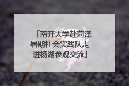 南开大学赴菏泽暑期社会实践队走进杨湖参观交流