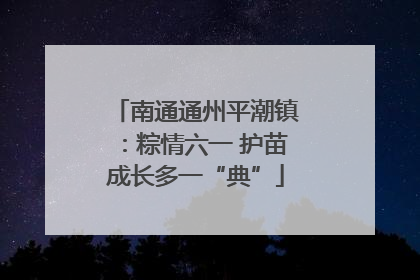 南通通州平潮镇：粽情六一 护苗成长多一“典”