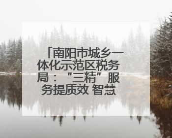 南阳市城乡一体化示范区税务局：“三精”服务提质效 智慧税务强基础