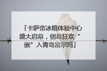 卡萨帝冰箱体验中心盛大启幕，创意狂欢“嵌”入青岛富尔玛