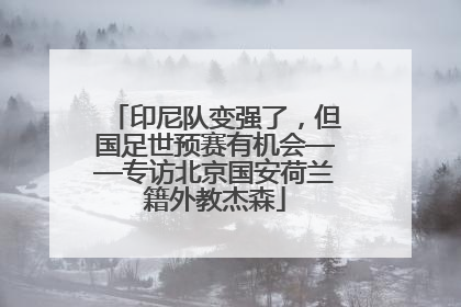 印尼队变强了，但国足世预赛有机会——专访北京国安荷兰籍外教杰森