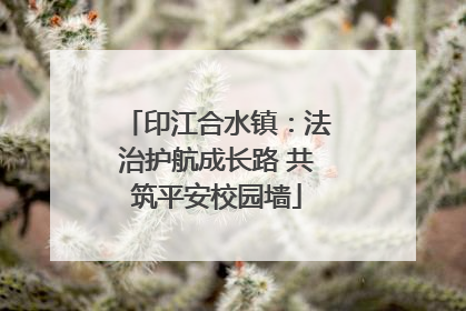 印江合水镇：法治护航成长路 共筑平安校园墙