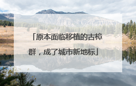原本面临移植的古樟群，成了城市新地标