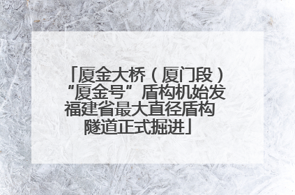 厦金大桥（厦门段）“厦金号”盾构机始发 福建省最大直径盾构隧道正式掘进