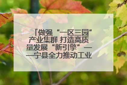 做强“一区三园”产业集群 打造高质量发展“新引擎”——宁县全力推动工业经济提质增效