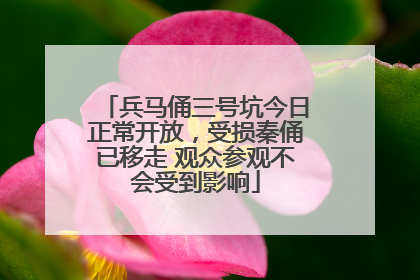 兵马俑三号坑今日正常开放，受损秦俑已移走 观众参观不会受到影响