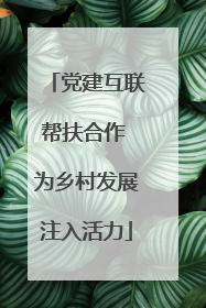 党建互联帮扶合作 为乡村发展注入活力