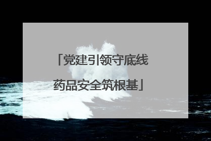 党建引领守底线 药品安全筑根基