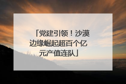 党建引领！沙漠边缘崛起超百个亿元产值连队
