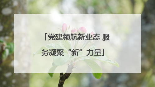 党建领航新业态 服务凝聚“新”力量
