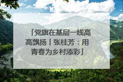 党旗在基层一线高高飘扬丨张桂芳：用青春为乡村添彩