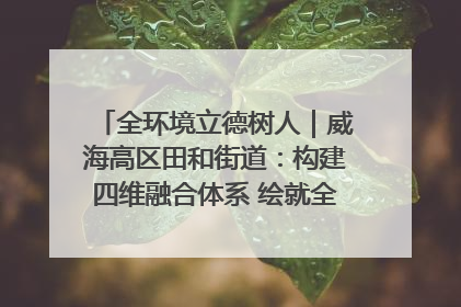 全环境立德树人｜威海高区田和街道：构建四维融合体系 绘就全环境立德树人新画卷