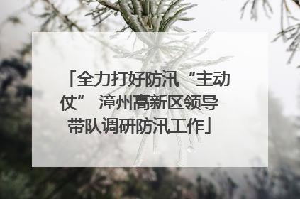 全力打好防汛“主动仗” 漳州高新区领导带队调研防汛工作