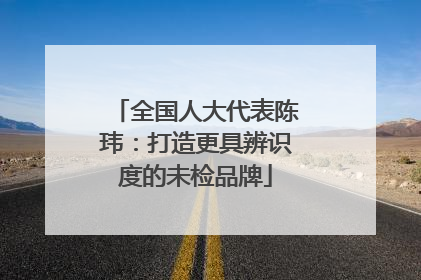 全国人大代表陈玮：打造更具辨识度的未检品牌