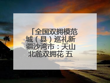 全国双拥模范城（县）巡礼新疆沙湾市：天山北麓双拥花 五届蝉联铸辉煌