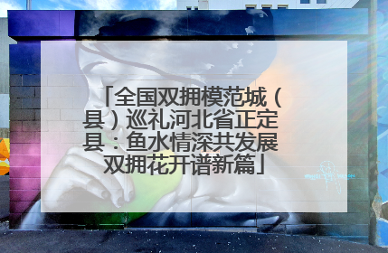 全国双拥模范城（县）巡礼河北省正定县：鱼水情深共发展 双拥花开谱新篇