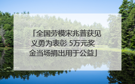 全国劳模宋兆普获见义勇为表彰 5万元奖金当场捐出用于公益