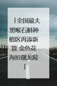 全国最大黑喉石斛种植区再添新景 金色花海扮靓龙陵