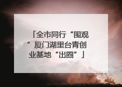 全市同行“围观”厦门湖里台青创业基地“出圈”