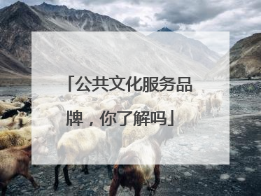 公共文化服务品牌，你了解吗
