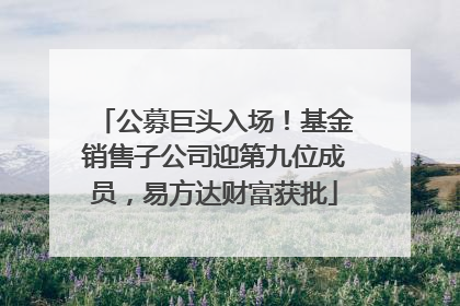 公募巨头入场！基金销售子公司迎第九位成员，易方达财富获批