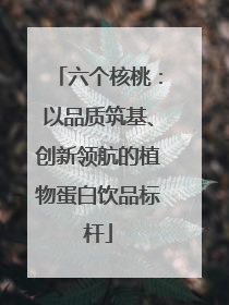 六个核桃：以品质筑基、创新领航的植物蛋白饮品标杆