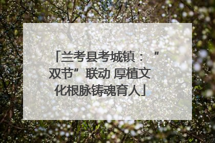 兰考县考城镇：“双节”联动 厚植文化根脉铸魂育人