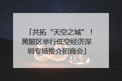 共拓“天空之城”！黄陂区举行低空经济深圳专场推介招商会