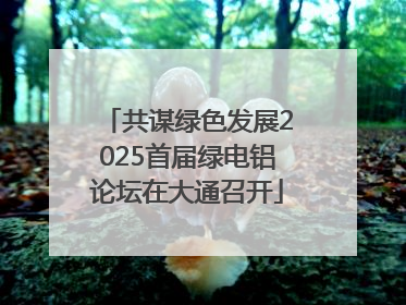 共谋绿色发展2025首届绿电铝论坛在大通召开