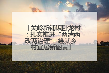 关岭新铺镇卧龙村：扎实推进“两清两改两治理” 绘就乡村宜居新图景