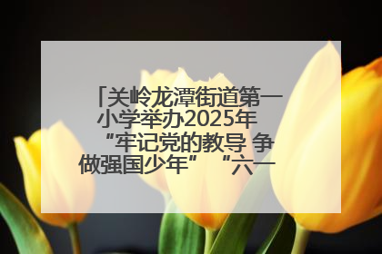 关岭龙潭街道第一小学举办2025年“牢记党的教导 争做强国少年”“六一”文艺汇演活动