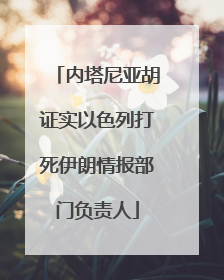内塔尼亚胡证实以色列打死伊朗情报部门负责人
