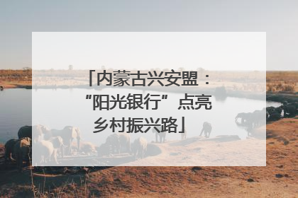 内蒙古兴安盟：“阳光银行”点亮乡村振兴路