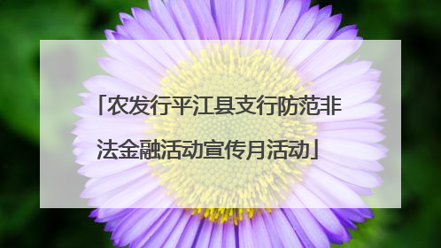农发行平江县支行防范非法金融活动宣传月活动