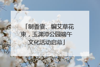 制香囊、编艾草花束，玉渊潭公园端午文化活动启幕