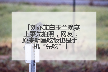 刘亦菲白玉兰晚宴上菜先拍照，网友：原来明星吃饭也是手机“先吃”