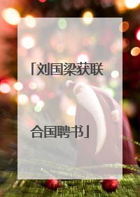 刘国梁获联合国聘书